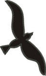 applique bird